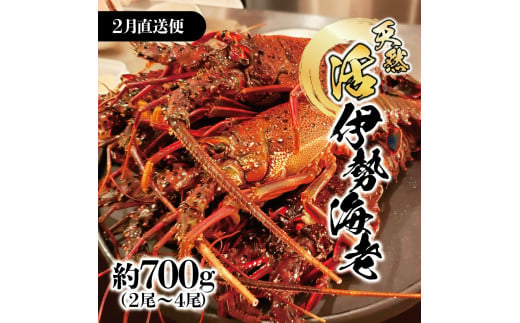 2月直送便 土佐獲れ 活伊勢海老 約700g（２尾～４尾）