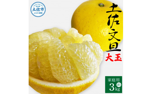 5L4Lサイズ　文旦　柑橘　王様　20kg 26 81kaUyrKdhL._UF350,350_QL50_.jpg