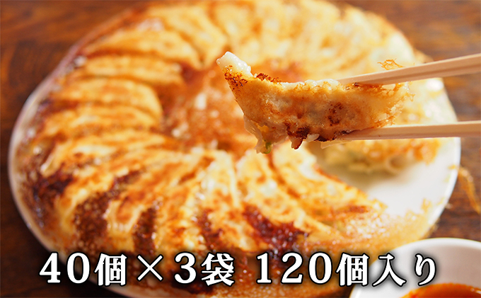 北海道産豚肉の餃子 120個|北海道 滝川市 ギョウザ 餃子 ぎょうざ 中華 惣菜 お惣菜 おかず