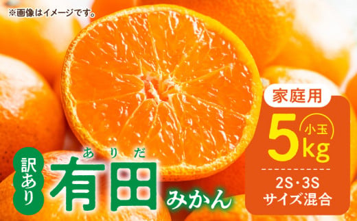DZ6205_【2026年先行予約】家庭用 有田みかん 和歌山 小玉(2S,3Sサイズ混合) 約5kg