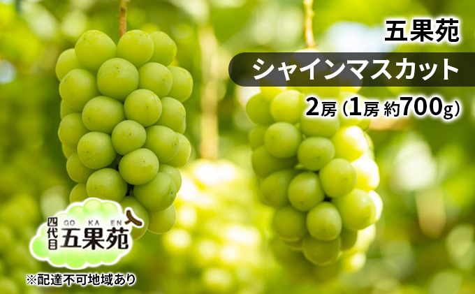 yRʖszԂǂ 2026N s\ VC }XJbg 2[i1[ 700gj  Ԃǂ t[c ʕ 蕨 Mtg R ܉ʉ _ Â  lC Ȃ 炲 i œK