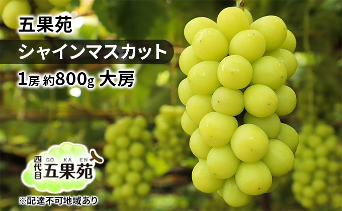 yRʖszԂǂ 2025N s\ VC}XJbg 1[ 800g [ Ԃǂ t[c ʕ 蕨 Mtg R ܉ʉ _ Â  lC Ȃ 炲 i œK