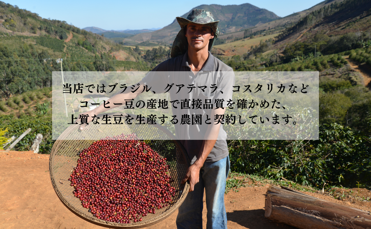 自家焙煎珈琲　定番　オリジナルセット コーヒー豆 珈琲豆 詰め合わせ 