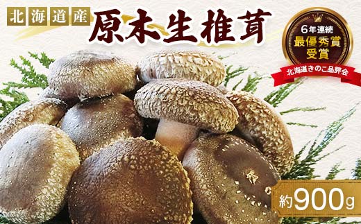 【先行予約】原木栽培 生椎茸 約900g 