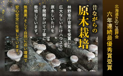 北海道今金町のふるさと納税 【先行予約】原木栽培 生椎茸 約900g 里の恵 しいたけ シイタケ きのこ キノコ 椎茸 野菜 F21W-259
