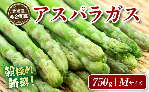 【先行予約】朝採れ新鮮アスパラ 750g（