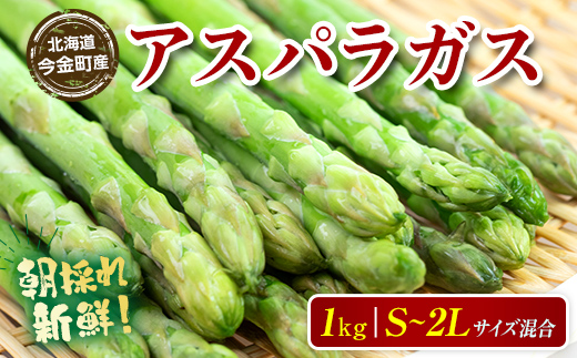 【訳あり】朝採れ新鮮アスパラ 1kg（S～