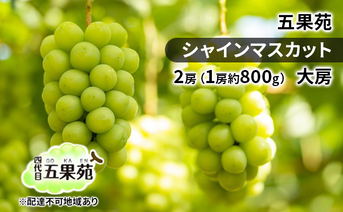 yR˓szԂǂ 2026N s\ VC}XJbg 2[i1[800gj [ Ԃǂ t[c ʕ 蕨 Mtg R ܉ʉ R̂Ԃǂ R̉ʕ R̃t[c Yn Ȃ 炲