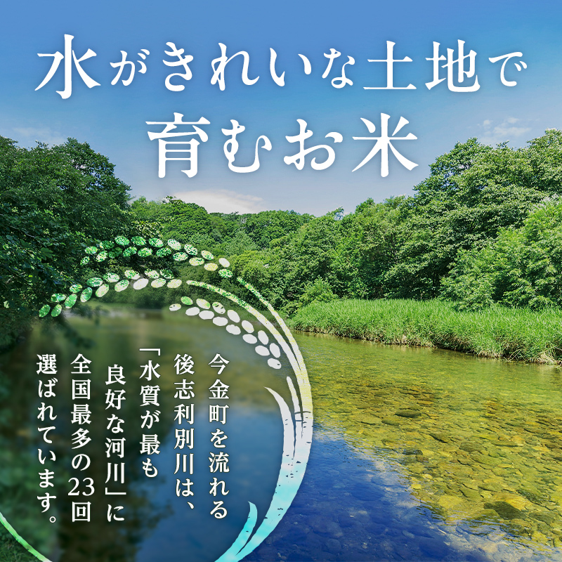 北海道今金町のふるさと納税 【令和7年産新米】 ゆめぴりか約5kg 北海道 新米 令和7年 今金米 米 白米 米俵 こめ おこめ ゆめぴりか F21W-497