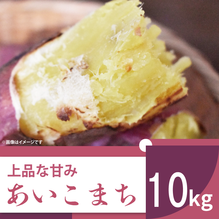 茨城県行方市のふるさと納税 【2025年11月より順次発送】2025年度産 上品な甘みのさつまいも あいこまち 約10kg｜さつまいも サツマイモ さつま芋 芋 お芋 あいこまち 先行予約 渋谷農園 人気 送料無料 茨城県 行方市(BZ-6)
