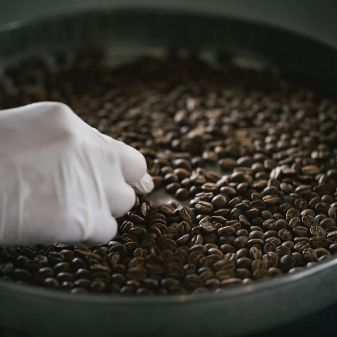 キノシタショウテン スペシャルティコーヒーバッグ アソート 30袋 セット 珈琲 コーヒー 