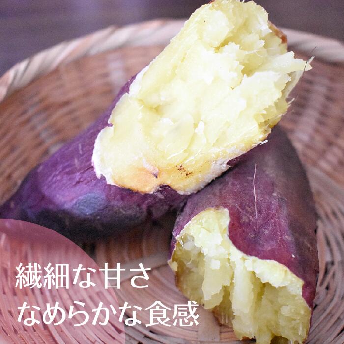 茨城県行方市のふるさと納税 【2025年11月より順次発送】2025年度産 まるで絹のようななめらかなさつまいも シルクスイート 約5kg｜さつまいも 芋 お芋 シルクスイート 渋谷農園 先行予約 茨城県 行方市(BZ-19)