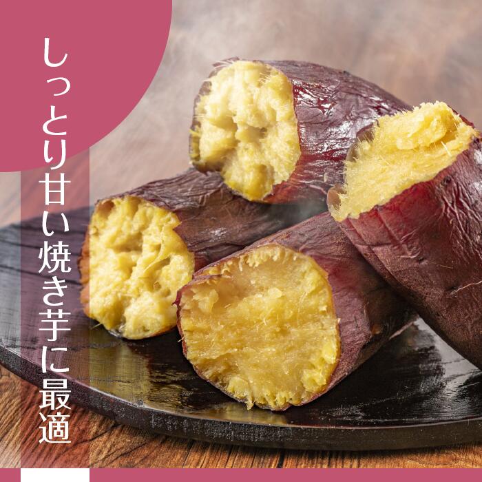 茨城県行方市のふるさと納税 【2025年11月より順次発送】2025年度産 まるで絹のようななめらかなさつまいも シルクスイート 約5kg｜さつまいも 芋 お芋 シルクスイート 渋谷農園 先行予約 茨城県 行方市(BZ-19)