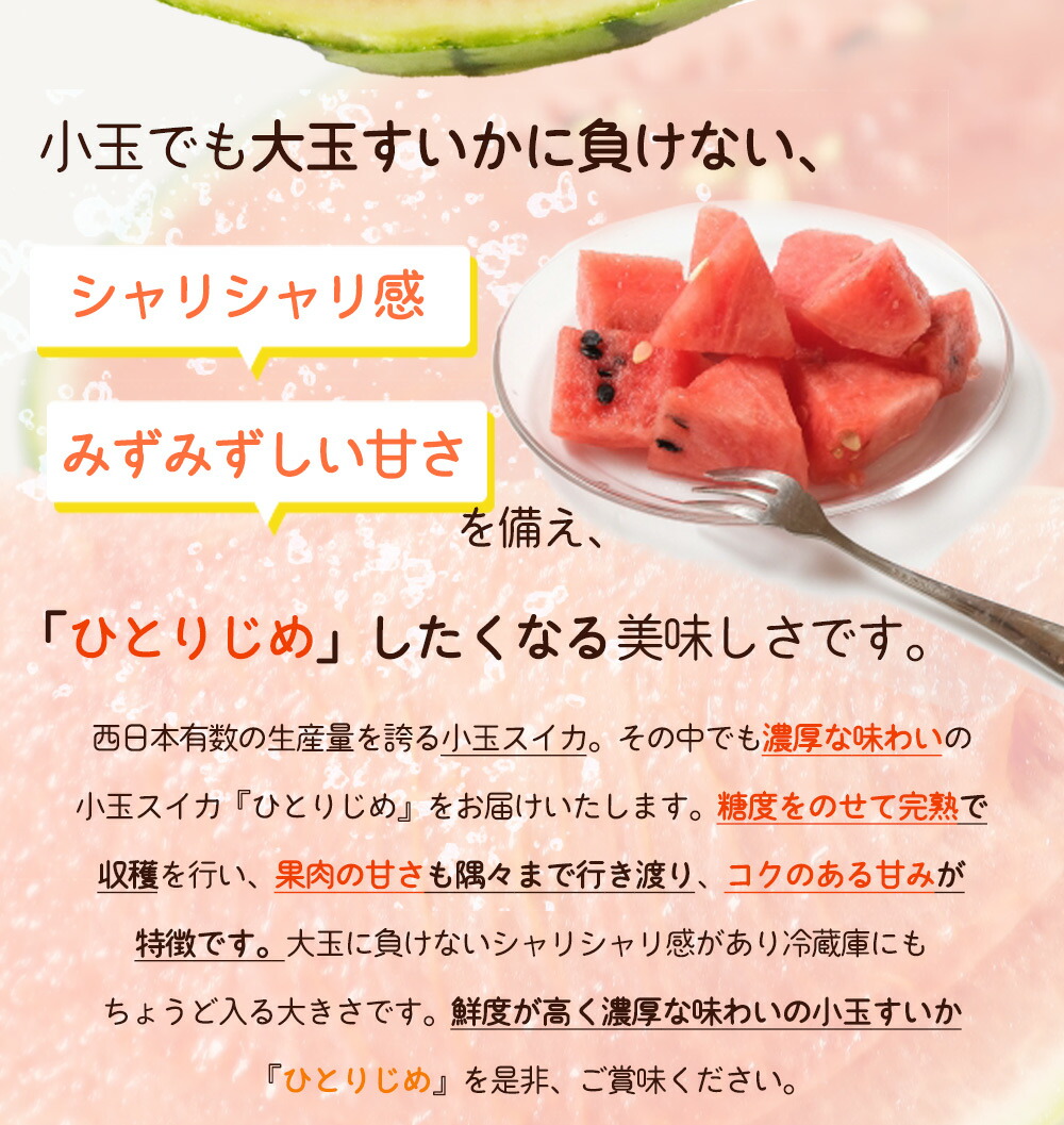 G7076_【2026年先行予約】紀州 和歌山産 小玉 スイカ 「ひとりじめ」 1玉