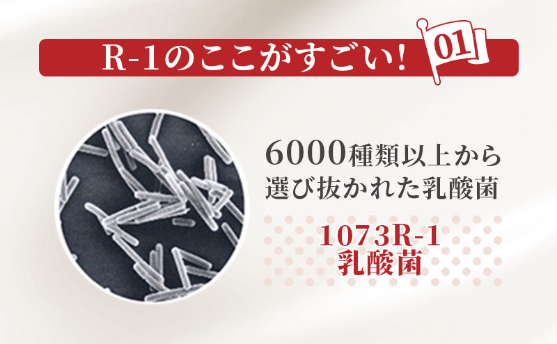 京都府京田辺市のふるさと納税 R1 定期便 6ヶ月 R-1 プロビオヨーグルト ドリンク タイプ 明治 飲むヨーグルト 乳酸菌 ドリンクヨーグルト ヨーグルトドリンク ヨーグルト 飲み物 飲料 ジュース 健康食品 健康 R1ドリンク 乳酸菌飲料 乳飲料 冷蔵 冷蔵配送 京都 定期 6回
