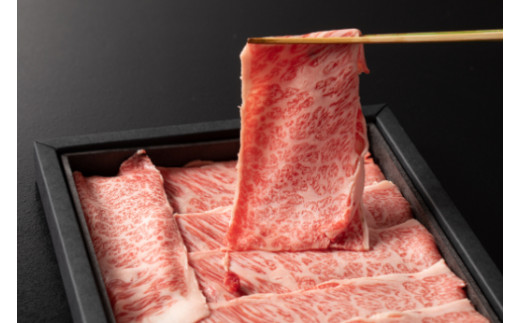 Art Beef Gallery『歌舞伎 連獅子』【近江牛肩ロース500g】【E031W】