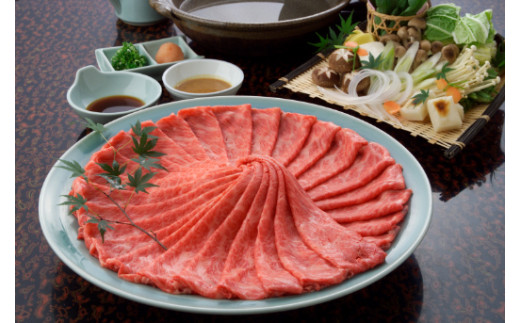 Art Beef Gallery『歌舞伎 連獅子』【近江牛肩ロース500g】【E031W】