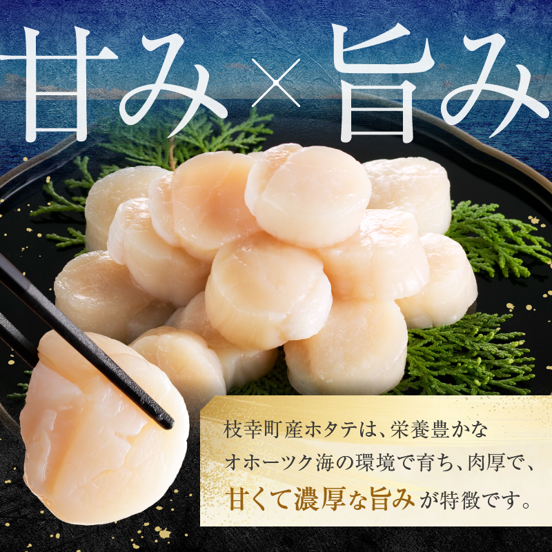 北海道枝幸町のふるさと納税 【枝幸ほたて】贈答用 1等ほたて干し貝柱 M500g【 ほたて 帆立 ホタテ 魚貝類 魚介類 北海道 オホーツク 枝幸 】