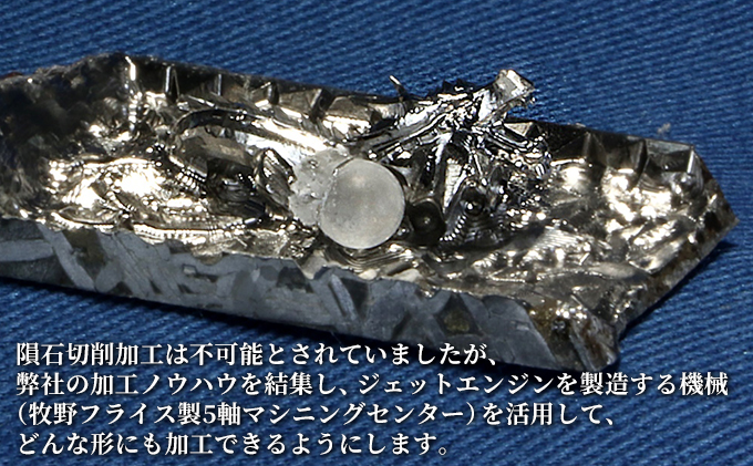 アルタイ鉄隕石 名称：龍 コレクション 置物 インテリア 雑貨