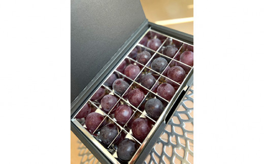 茨城県坂東市のふるさと納税 No.295 【先行予約】粒々ぶどう36粒　ナガノパープル【茨城県共通返礼品 かすみがうら市】 ／ 旬 新鮮 葡萄 ブドウ 果物 フルーツ 茨城県 特産品