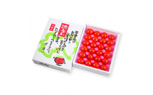 ＜2026年1月下旬より発送＞フルーツトマト特選ギフト約1kg トマト フルーツトマト 池トマト 糖度10度以上 高糖度 高知県産 ギフト 箱入り 贈答用 贈り物 健康 美味しい ふるーつとまと お取り寄せグルメ