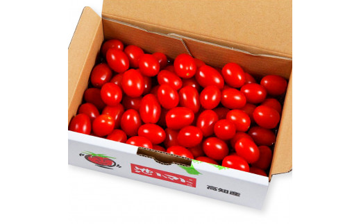 ＜2026年1月下旬より発送＞あまいこトマト 約1kg トマト ミニトマト フルーツトマト 糖度7 - 8度 高知県産 アイコ アイコトマト 健康 酸味控えめ 美味しい ふるーつとまと みにとまと お取り寄せグルメ