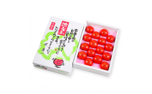 ＜2026年1月下旬より発送＞フルーツトマト特選ギフト約800g トマト フルーツトマト 池トマト 糖度10度以上 高糖度 高知県産 ギフト 箱入り 贈答用 贈り物 健康 美味しい ふるーつとまと お取り寄せグルメ