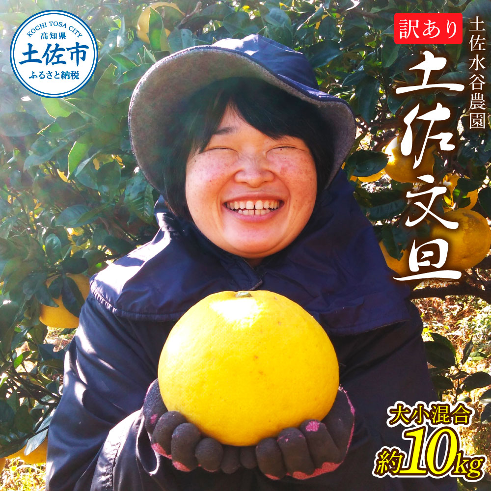 【高知県土佐市】本場、高知県土佐市産!土佐水谷農園の露地土佐文旦 家庭用10キロ 10kg 大小混合(L - 上限なし:16玉前後) 訳あり 文旦 ぶんたん ブンタン 土佐文旦 ご自宅用 柑橘 フルーツ 果物 土佐 高知