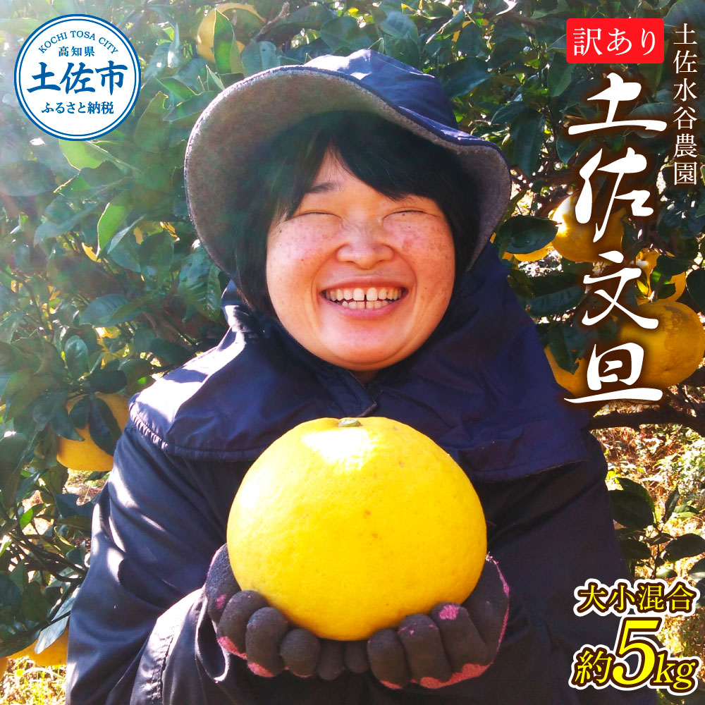 本場、高知県土佐市産！土佐水谷農園の露地土佐文旦 家庭用約5キロ 5kg 大小混合（L - 上限なし：8玉前後） 訳あり 文旦 ぶんたん ブンタン 土佐文旦 ご自宅用 柑橘 フルーツ 果物 土佐 高知