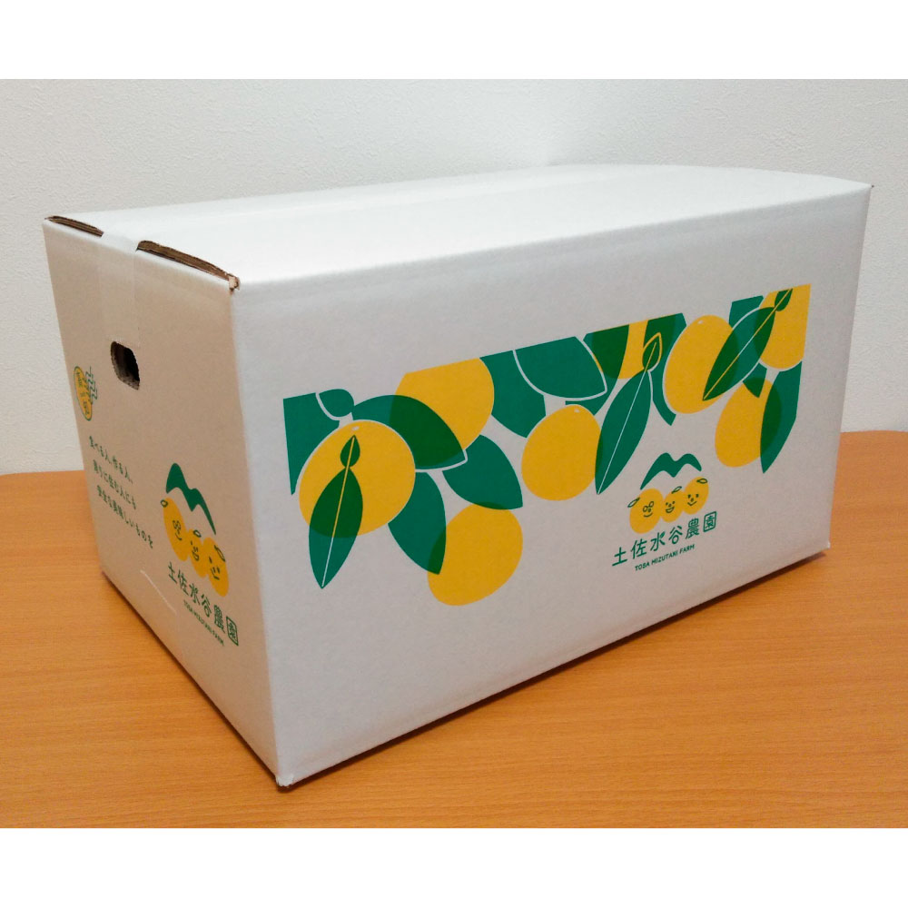 本場、高知県土佐市産！土佐水谷農園の露地土佐文旦 約5キロ 5kg（3L - 5L ） 文旦 ぶんたん ブンタン 土佐文旦 柑橘 フルーツ 果物 ご当地 お取り寄せ 土佐 高知