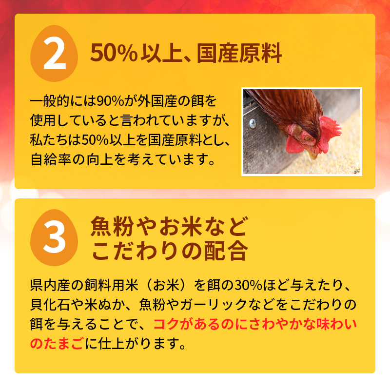 卵 わずか4%の希少な純国産鶏 いけだの森たまご 40個 こだわり おこめのたまご 玉子 鶏卵 生卵 産地直送 冷蔵配送 TKG 卵かけご飯 岐阜県産 