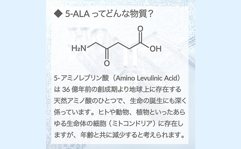 アラヴァイタル（5-ALAサプリメント）30粒入り おまとめ6個セット 健康食品 アミノ酸 健康 ヘルシー  美容 人気 厳選  袋井市 加工食品 天然アミノ酸 亜鉛 鉄 ナイアシン ビオチン 栄養補給食品 
