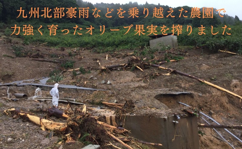 オリーブオイル オリーブ 油 100g×1本 エクストラバージンオリーブオイル オリーブ油 調味料 自家農園産 