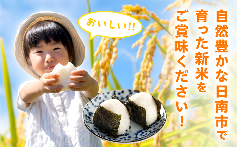宮崎県日南市のふるさと納税 2週間以内に発送 早場米 令和7年産 新米 コシヒカリ 計5kg 米 期間限定 日南市産 お米 ご飯 ライス 国産 人気 食品 精米 白米 こしひかり 有洗米 おすすめ おにぎり お弁当 炊き込みご飯 雑炊 ギフト 贈り物 産地直送 宮崎県 日南市 送料無料_CA79-25