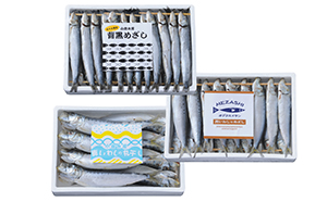 いわし 三昧 海鮮 魚介 魚介類 魚 干物脂 イワシ さぬき塩 冷風乾燥 背黒めざし めざし 真いわし 丸干し 