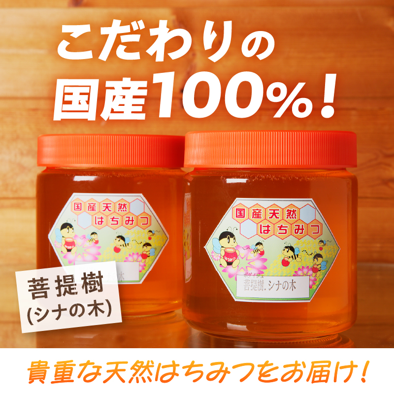 高見養蜂場 の 天然はちみつ (菩提樹、シナの木600g×2本)｜北海道 滝川市 産 はちみつ ハチミツ 天然 菩提樹 シナの木 蜂蜜 天然蜂蜜