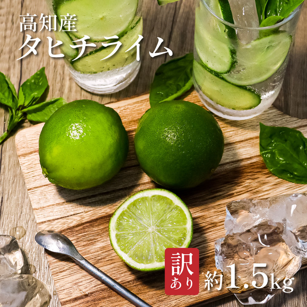 TSF002-1　訳ありタヒチライム 約1.5kg ライム 国産 種なし 柑橘類 かんきつ類 防腐剤不使用 ノーワックス 新鮮 冷蔵 家庭用 果物 くだもの フルーツ 芸西村 高知県産