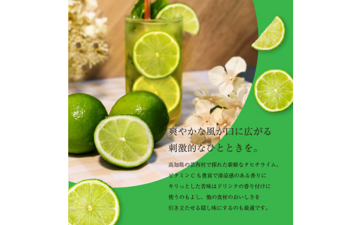 TSF001-1　タヒチライム 約1.5kg ライム 国産 種なし 柑橘類 かんきつ類 防腐剤不使用 ノーワックス 新鮮 冷蔵 家庭用 果物 くだもの フルーツ 芸西村 高知県産