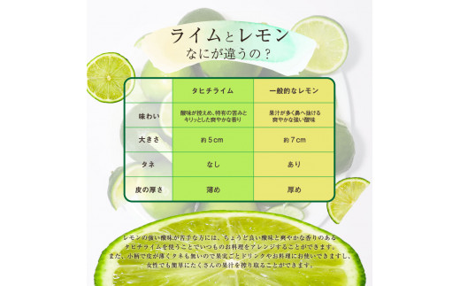 TSF001-1　タヒチライム 約1.5kg ライム 国産 種なし 柑橘類 かんきつ類 防腐剤不使用 ノーワックス 新鮮 冷蔵 家庭用 果物 くだもの フルーツ 芸西村 高知県産