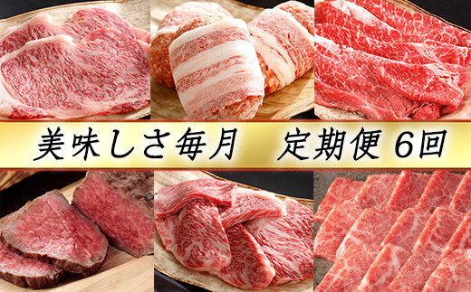 yꌧߍ]szyJlgR{zߍ] ??iS6ցji2023N9jyY092Wz