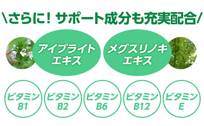 DHC速攻ブルーベリー V-MAX30日分12個セット サプリメント 健康食品 加工食品 ビルベリー ルテイン アスタキサンチン アントシアニン ビルベリーエキス末 