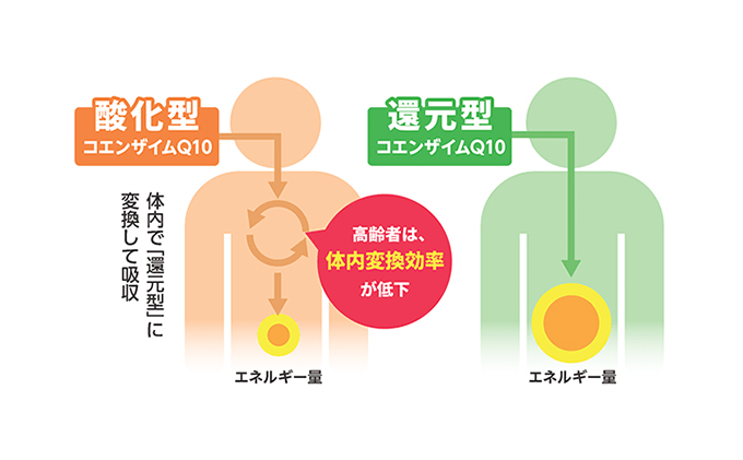 ＜機能性表示食品＞DHC コエンザイムQ10還元型 30日分2個セット サプリメント 健康食品 加工食品 抗酸化作用 エネルギー産生を助ける 酸化ストレスを緩和 