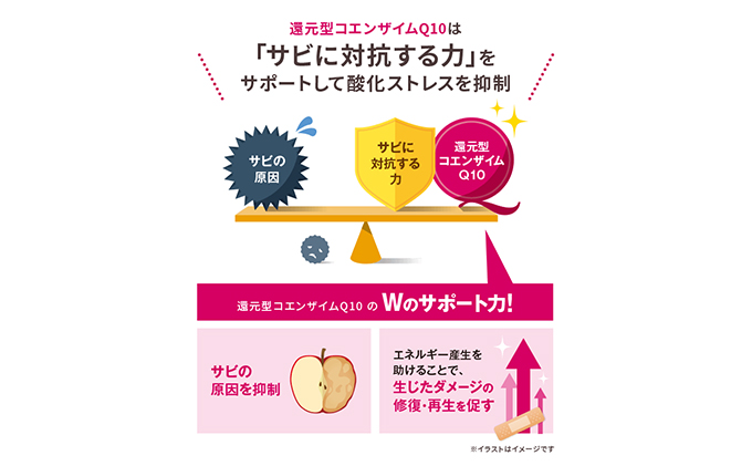 ＜機能性表示食品＞DHC コエンザイムQ10還元型 30日分12個セット サプリメント 健康食品 加工食品 抗酸化作用 エネルギー産生を助ける 酸化ストレスを緩和 