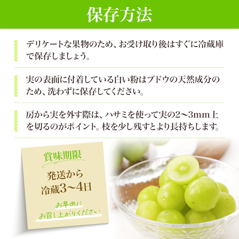 先行予約 甘く食べやすい シャインマスカット 2房（1房 600～700g）＜出荷時期：2025年9月下旬～10月上旬ごろ＞数量限定 期間限定 果物 フルーツ ぶどう ブドウ マスカット