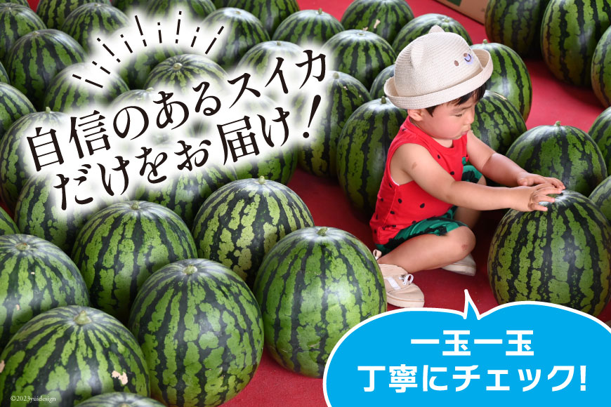 長崎県島原市のふるさと納税 AG060【令和8年度出荷分】超特大！大玉スイカ～羅皇（ラオウ）～（10～15kg）[先行予約 数量限定 すいか スイカ 西瓜 フルーツ 果物 長崎 長崎県 島原市]