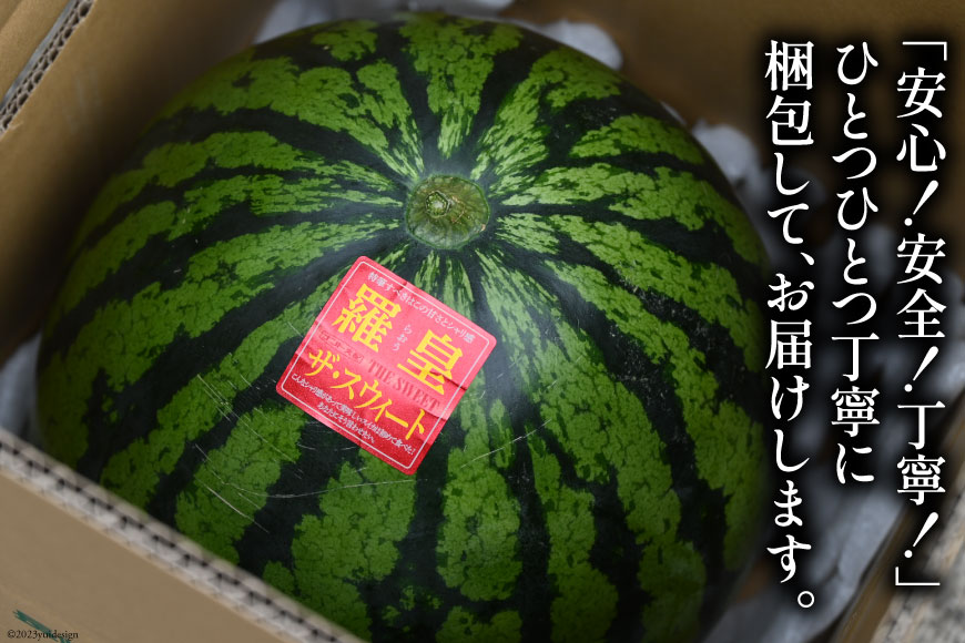 長崎県島原市のふるさと納税 AG060【令和8年度出荷分】超特大！大玉スイカ～羅皇（ラオウ）～（10～15kg）[先行予約 数量限定 すいか スイカ 西瓜 フルーツ 果物 長崎 長崎県 島原市]