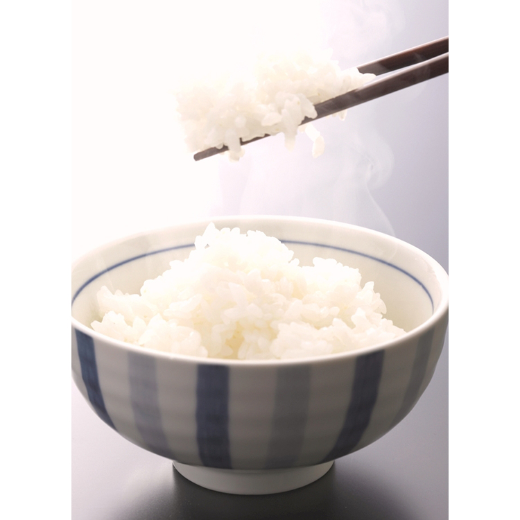 【先行予約】和歌山県産キヌヒカリ 10kg(2025年産) ｜米 コメ こめ 和歌山※2025年9月中旬頃より順次発送予定