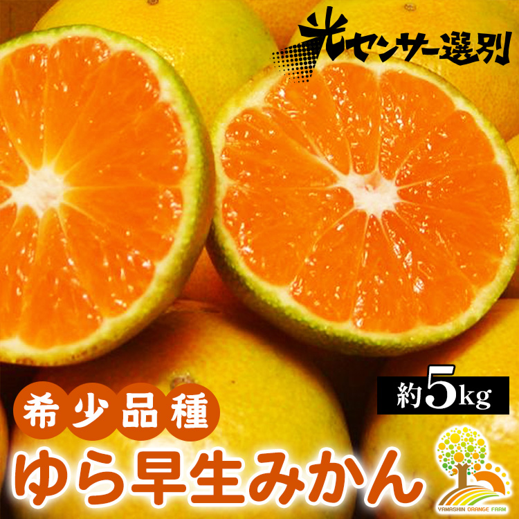 【和歌山県美浜町】ゆら早生 みかん 濃厚な味わい 約5kg 希少品種《有機質肥料100%》極早生 | 由良 ゆら 早生 わせ 柑橘 果物 くだもの フルーツ 和歌山 有田 ※2025年10月上旬〜11月中旬頃に順次発送予定 ※北海道・沖縄・離島への配送不可