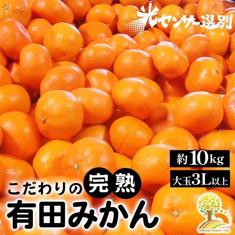 【和歌山県美浜町】有田みかん 約10kg 大玉3L以上 有機質肥料100% \光センサー選別/ 農家直送 ※北海道・沖縄・離島への配送不可◇※2025年11月中旬〜2026年1月上旬頃に順次発送予定