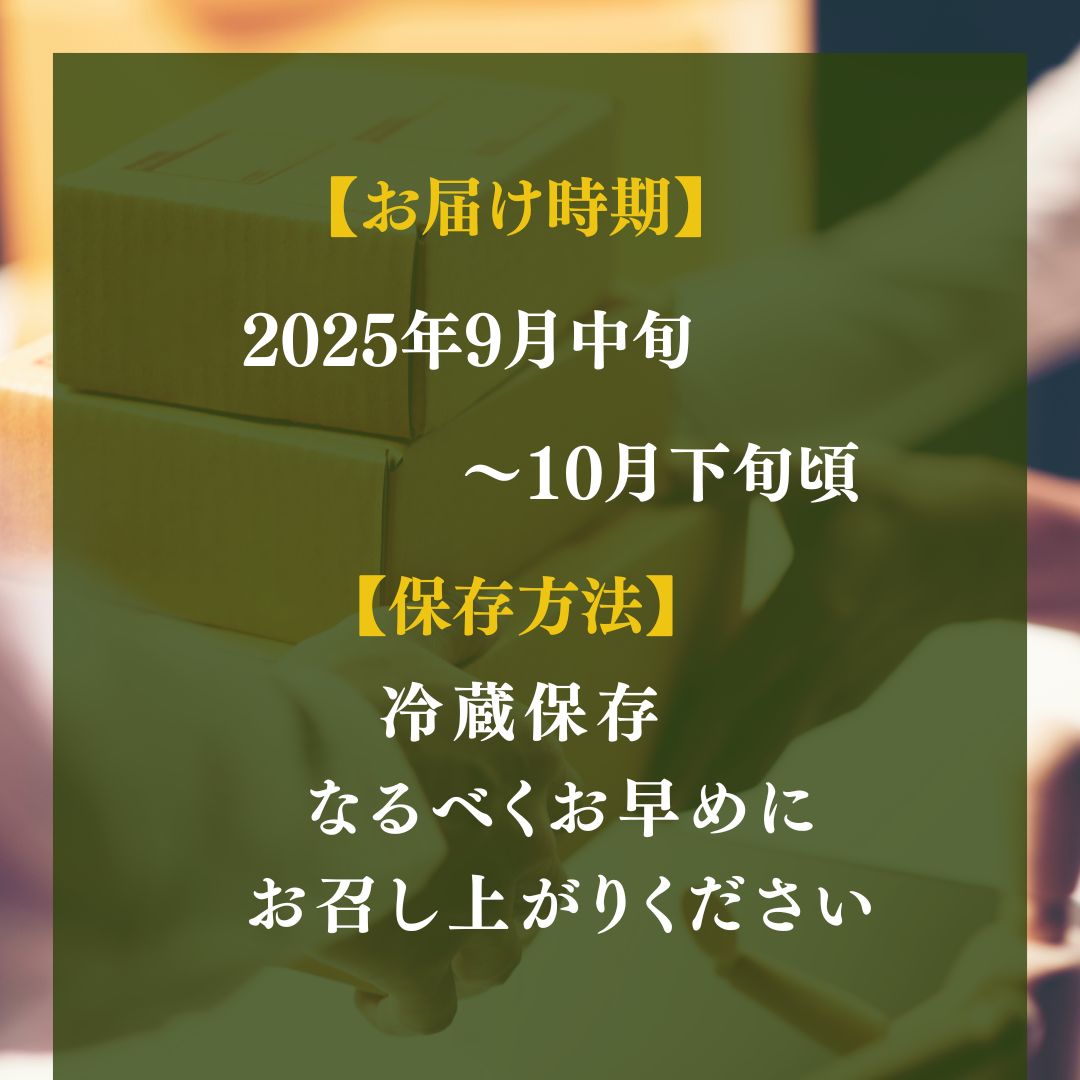 種あり巨峰 約2kg 2026年9月中旬～10月下旬頃出荷予定【安心安全 こだわりの栽培方法 除草剤不使用 栽培期間中 ネオニコチノイド系農薬不使用 化学合成肥料不使用】 